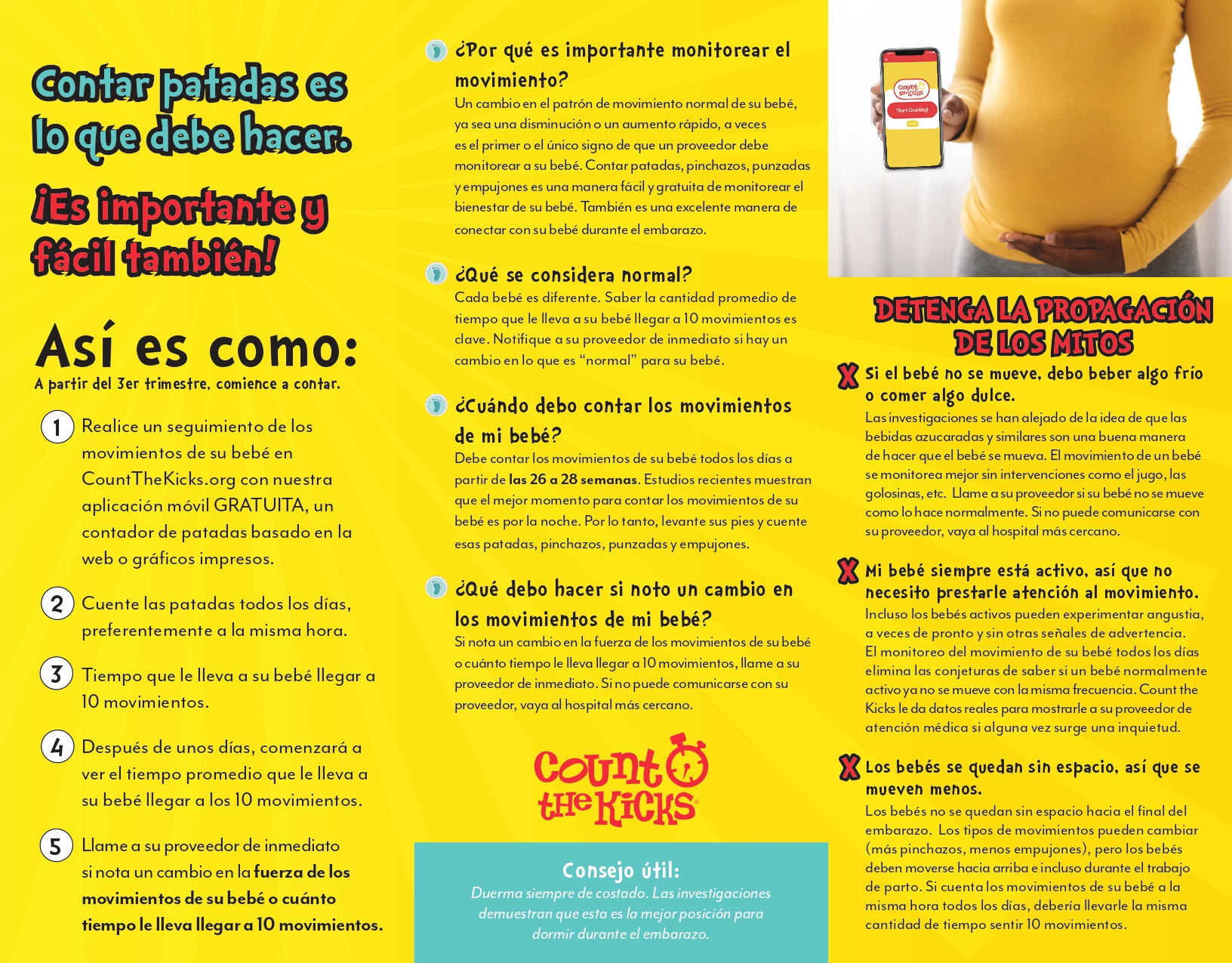 Brochure (Spanish) – FL