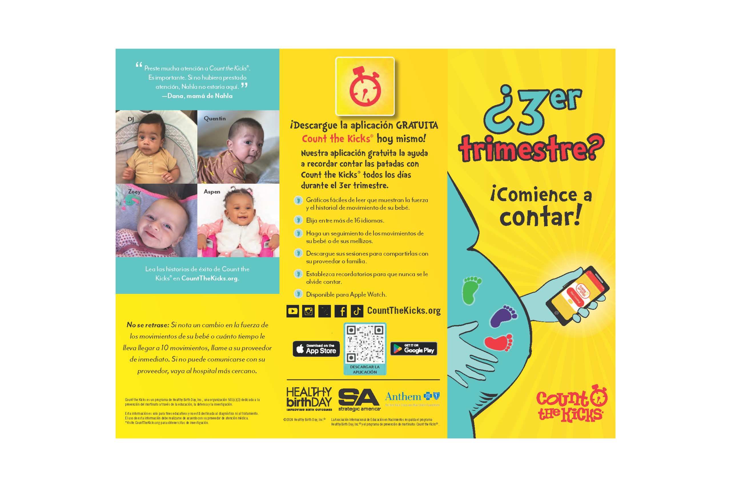 Brochure (Spanish) – KY