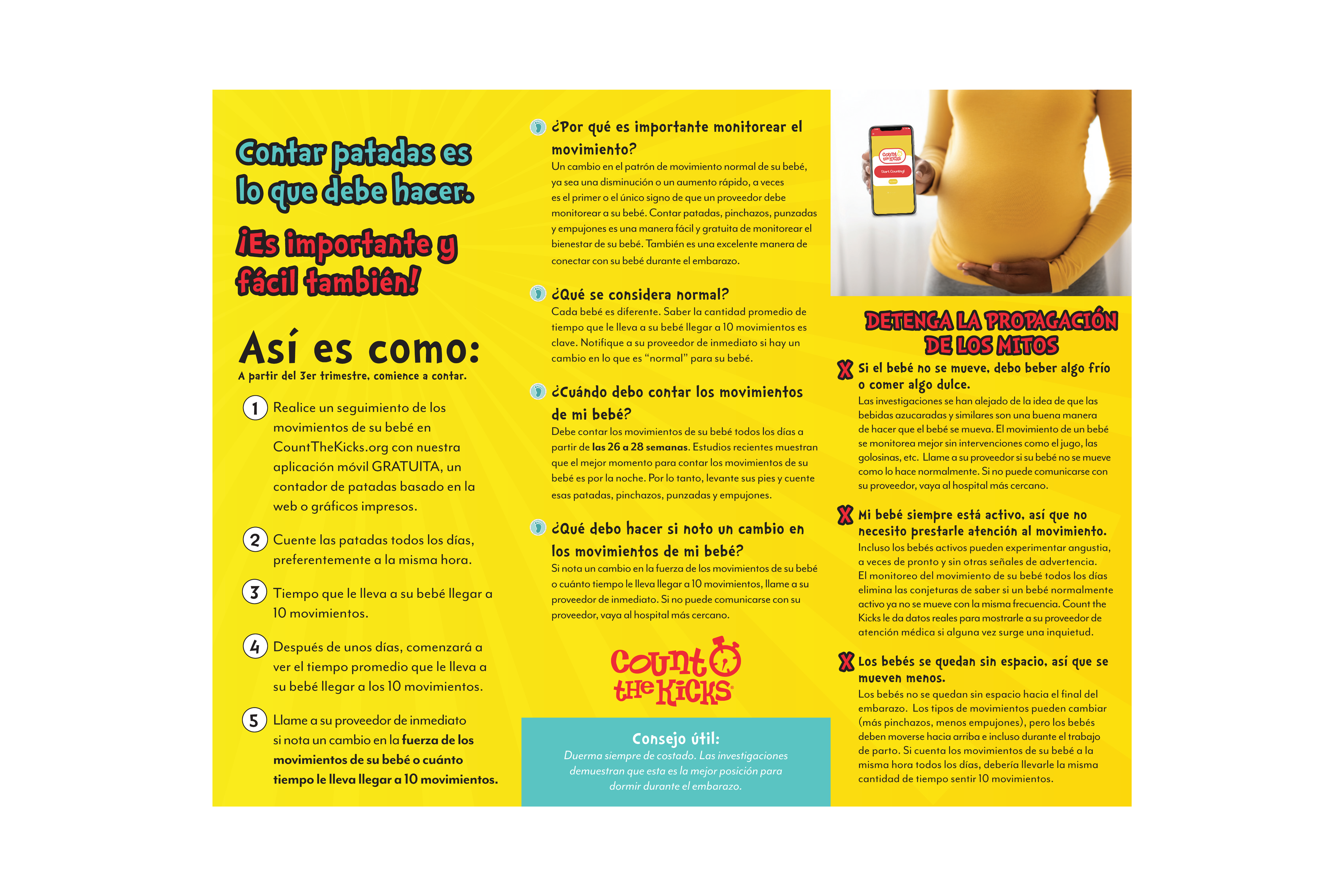 Brochure (Spanish) – TN