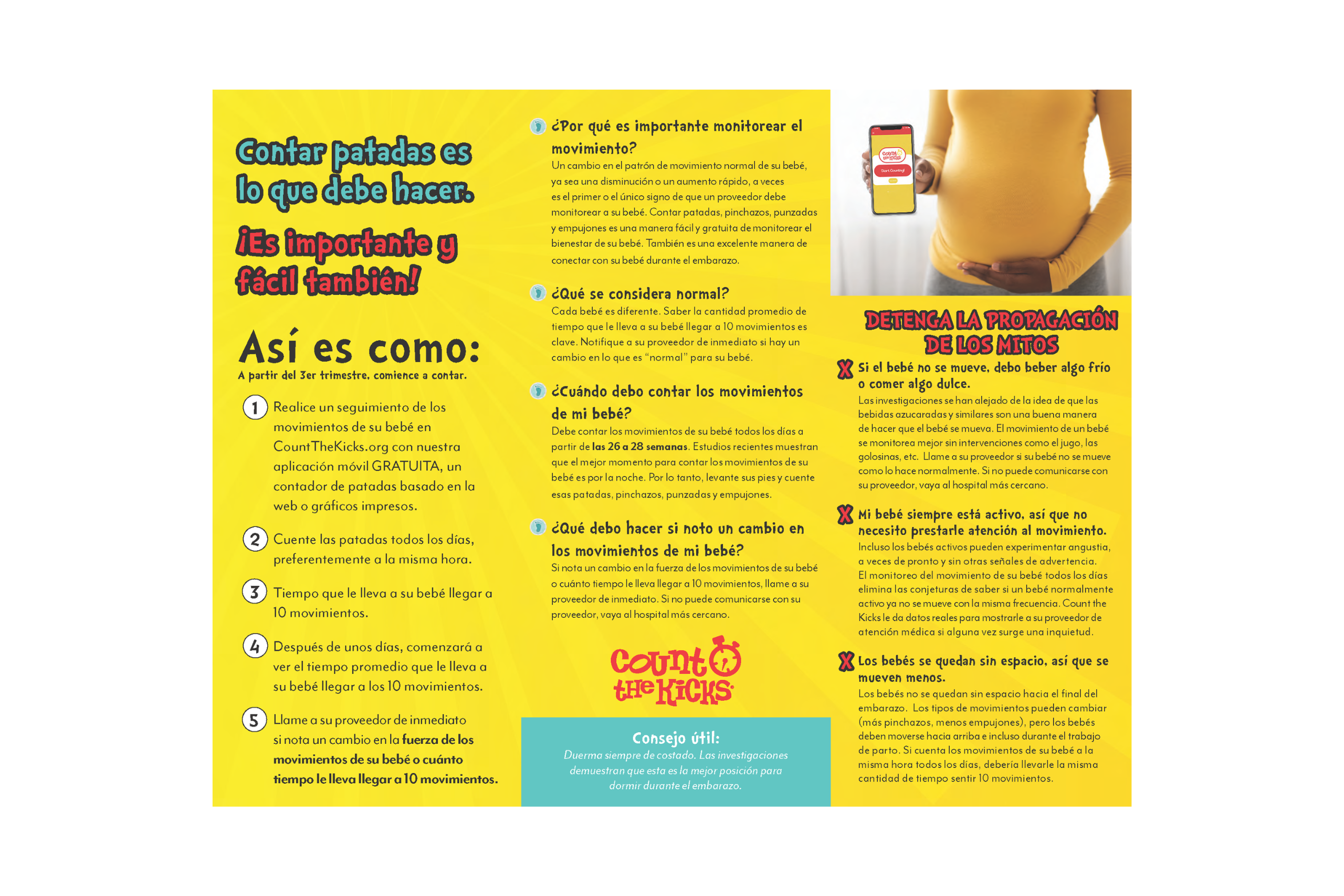 Brochure (Spanish) – NY