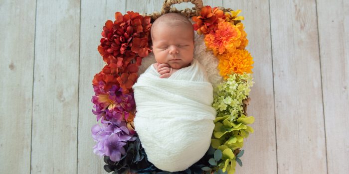 A baby swaddled in a white blanket sleeps in a nest of colorful flowers