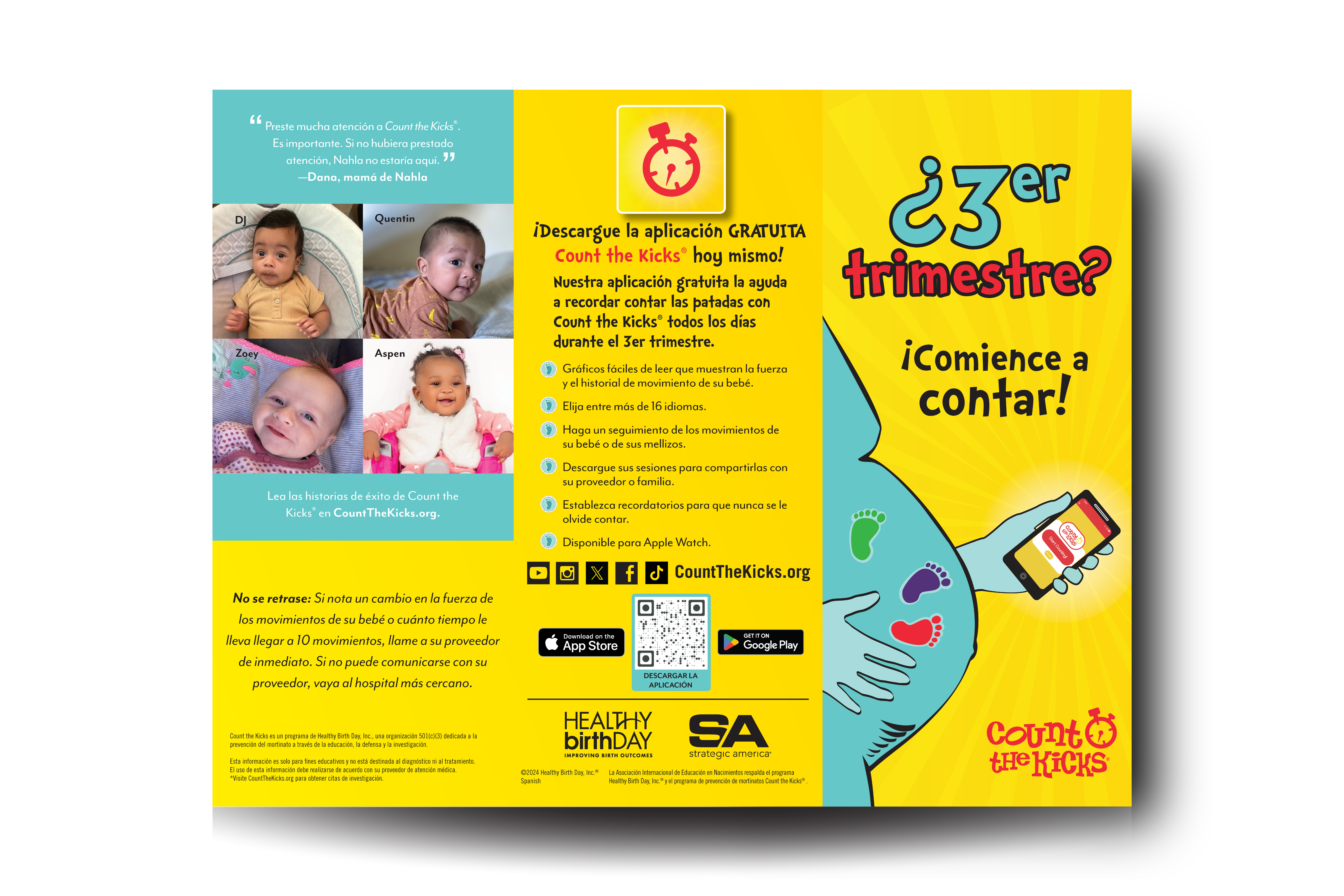 Brochure (Spanish) – DC