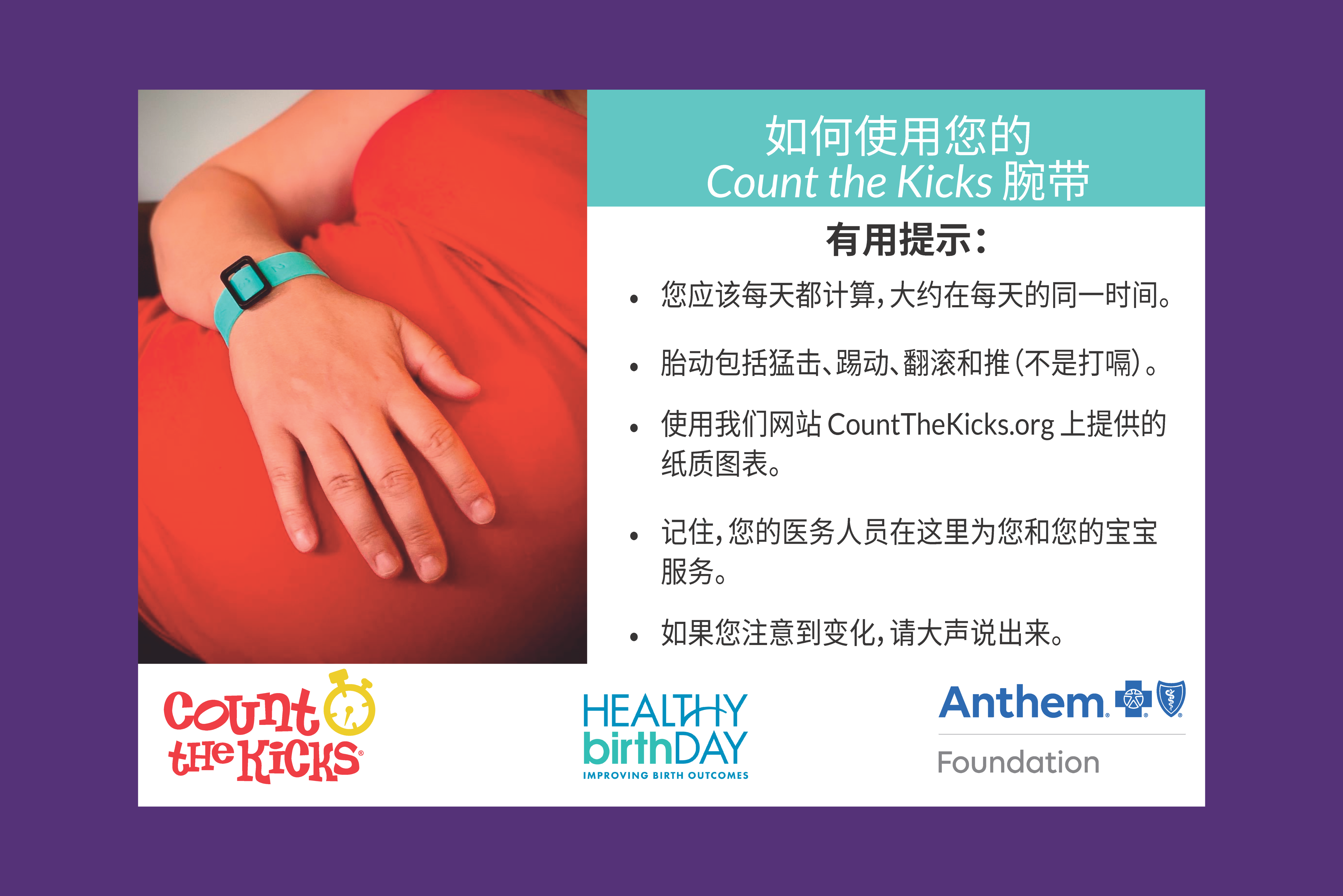 Count the Kicks Wristbands (Chinese) – NY