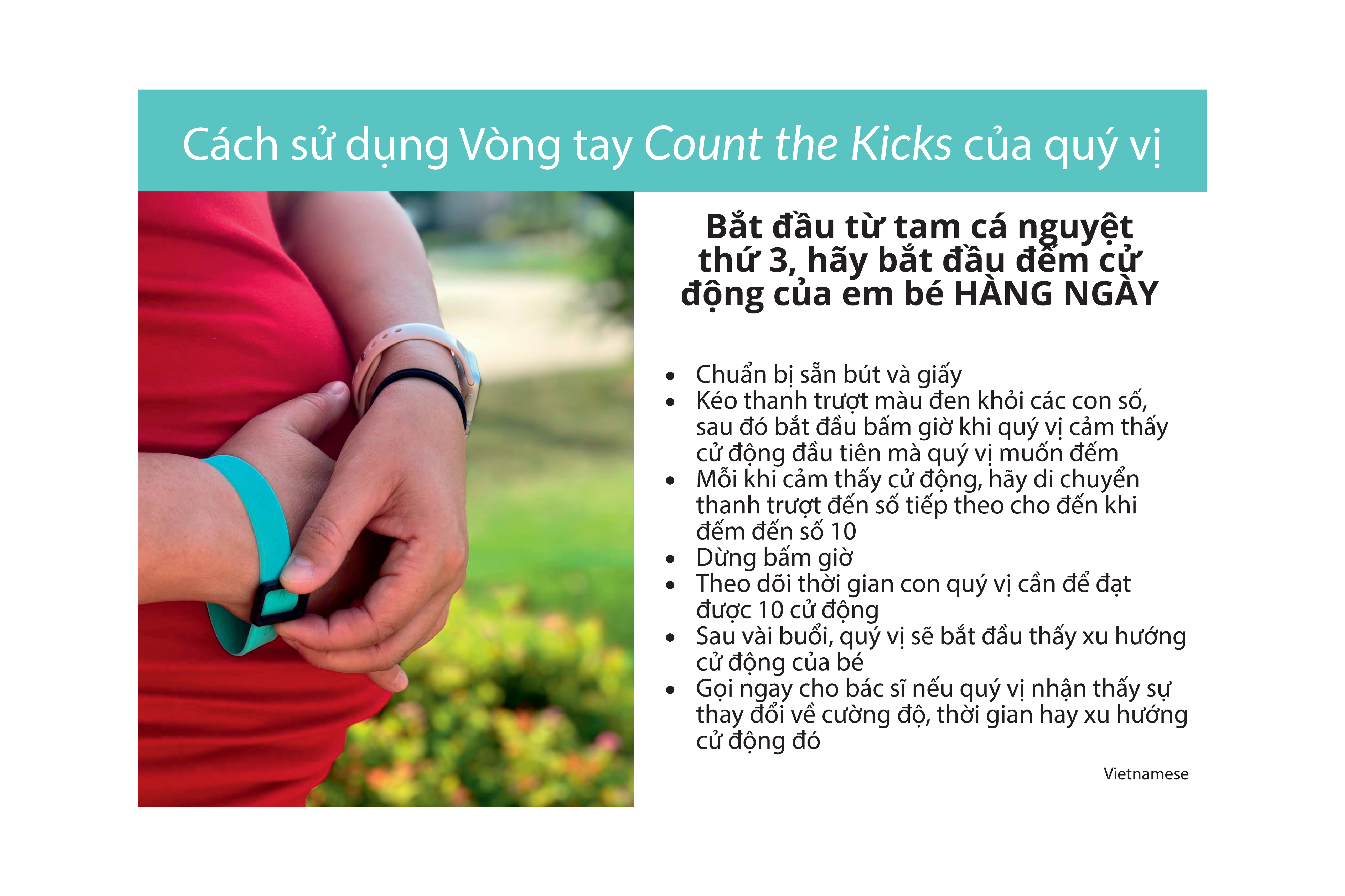 Count the Kicks Wristbands (Vietnamese) – VA