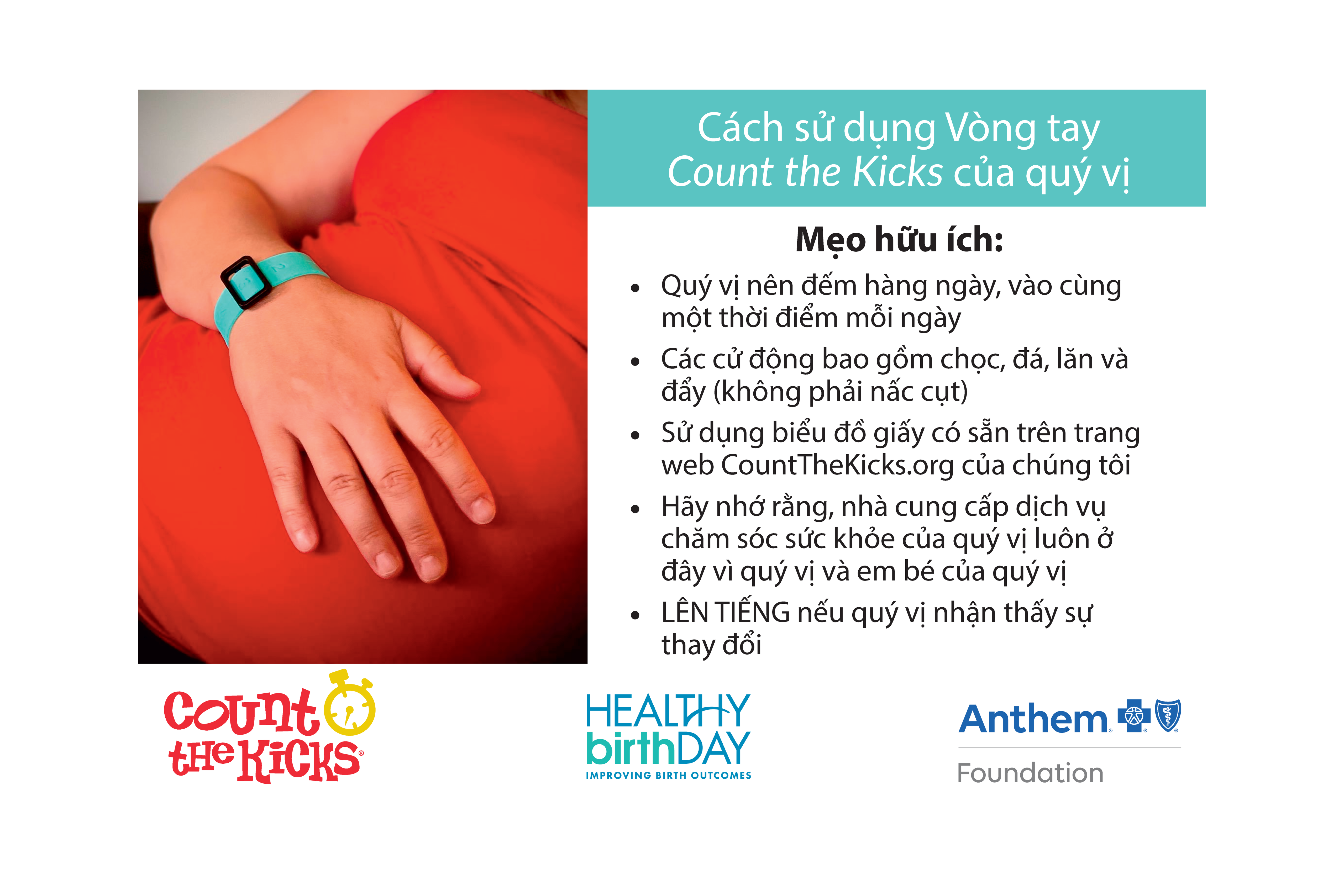 Count the Kicks Wristbands (Vietnamese) – VA