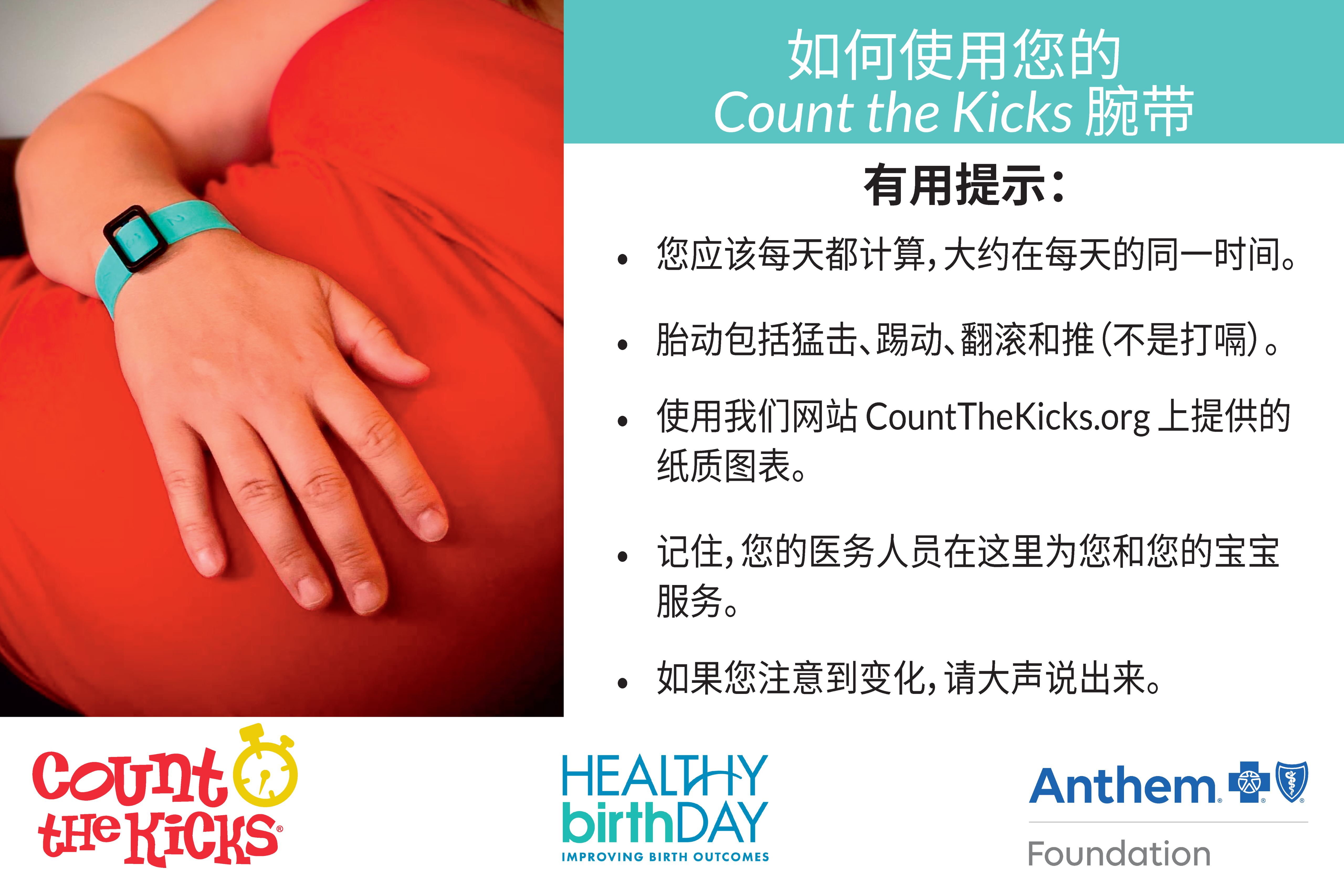 Count the Kicks Wristbands (Chinese) – VA