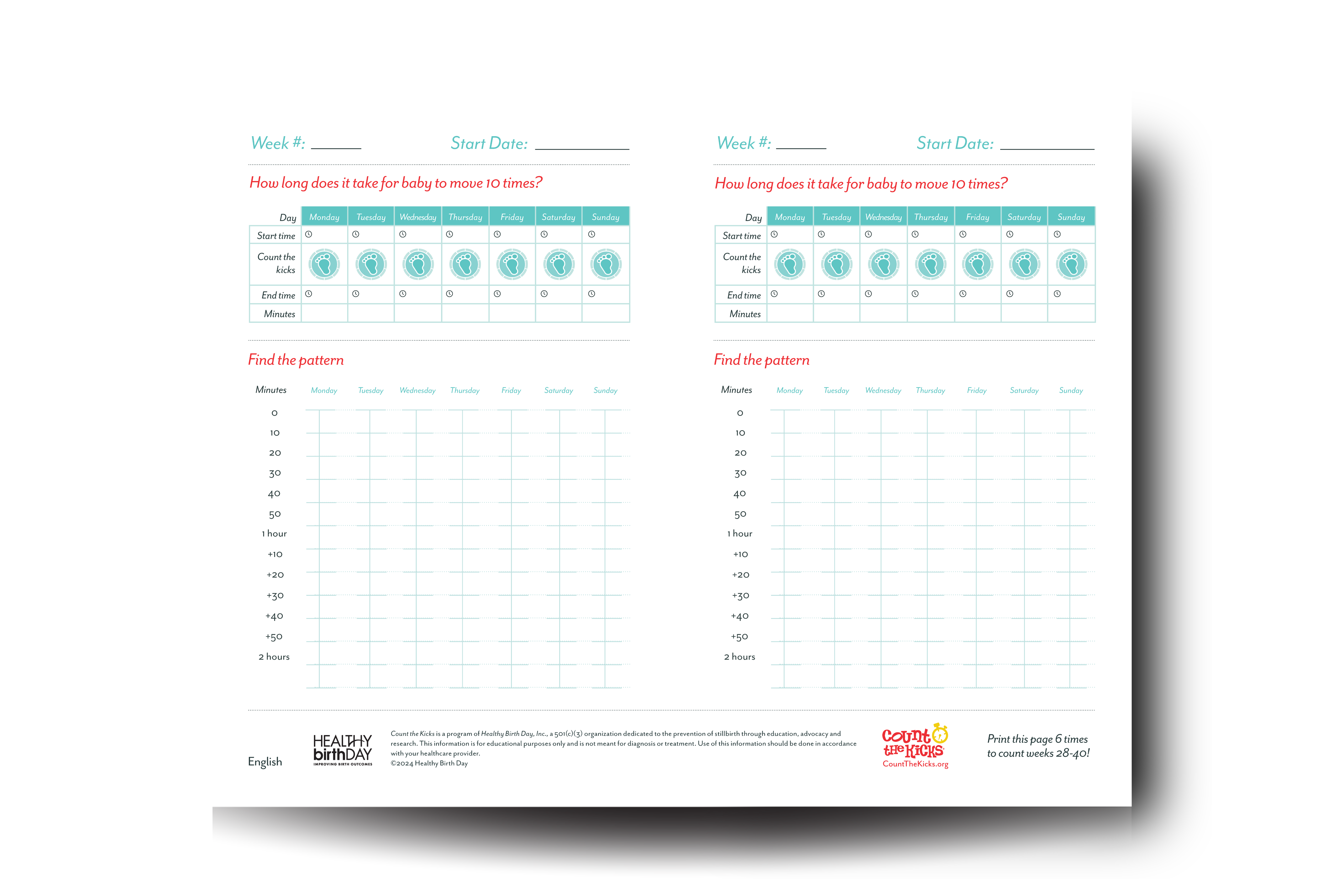 100 Sheet Paper Kick Counting Chart Tear Off Pads (English) – MS