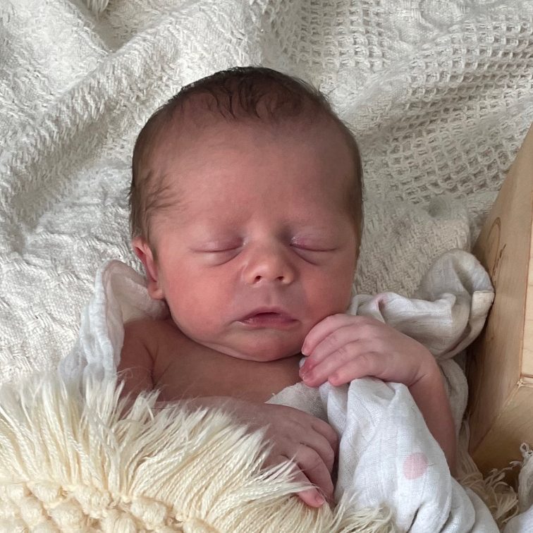 Meet Maddox