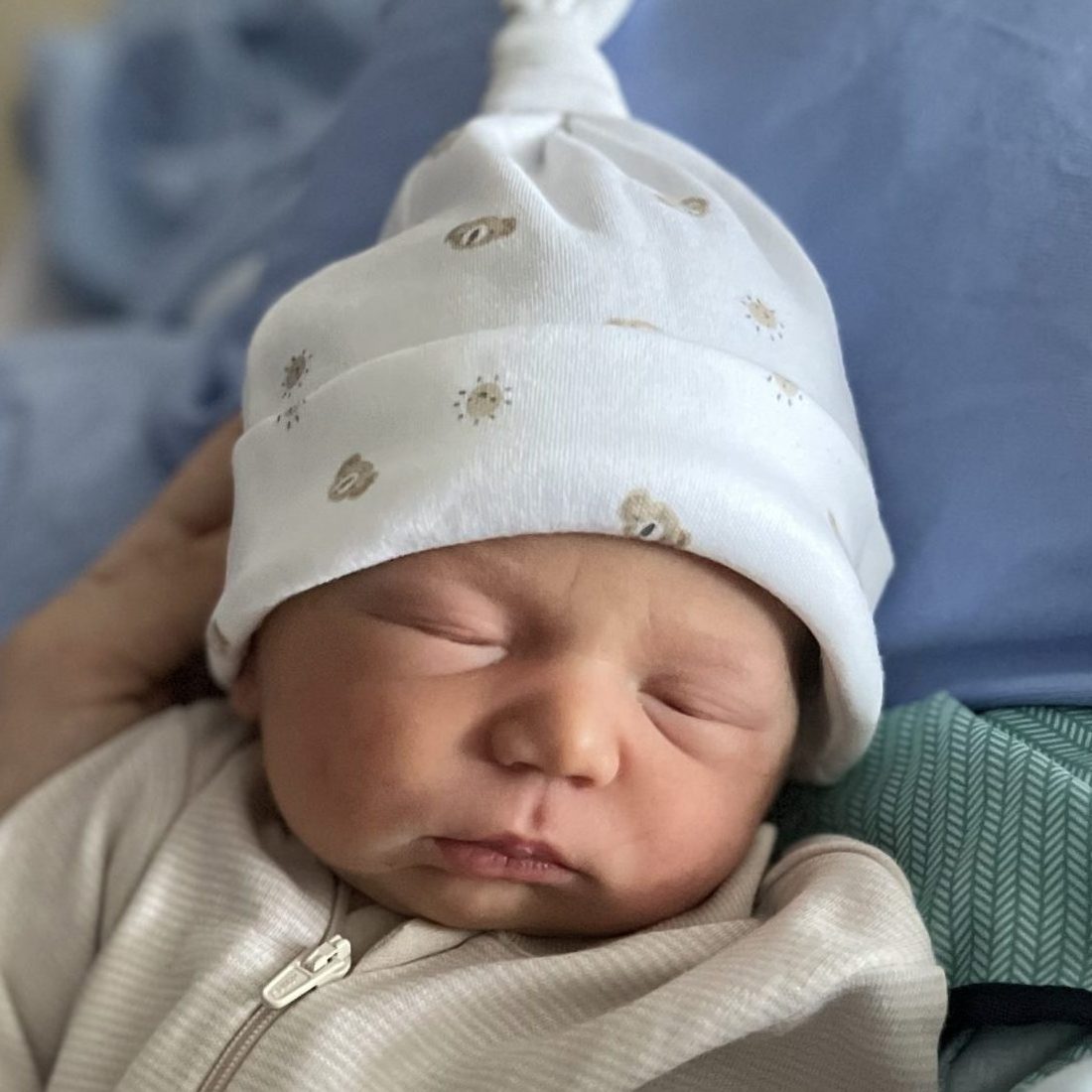 Meet Arlo