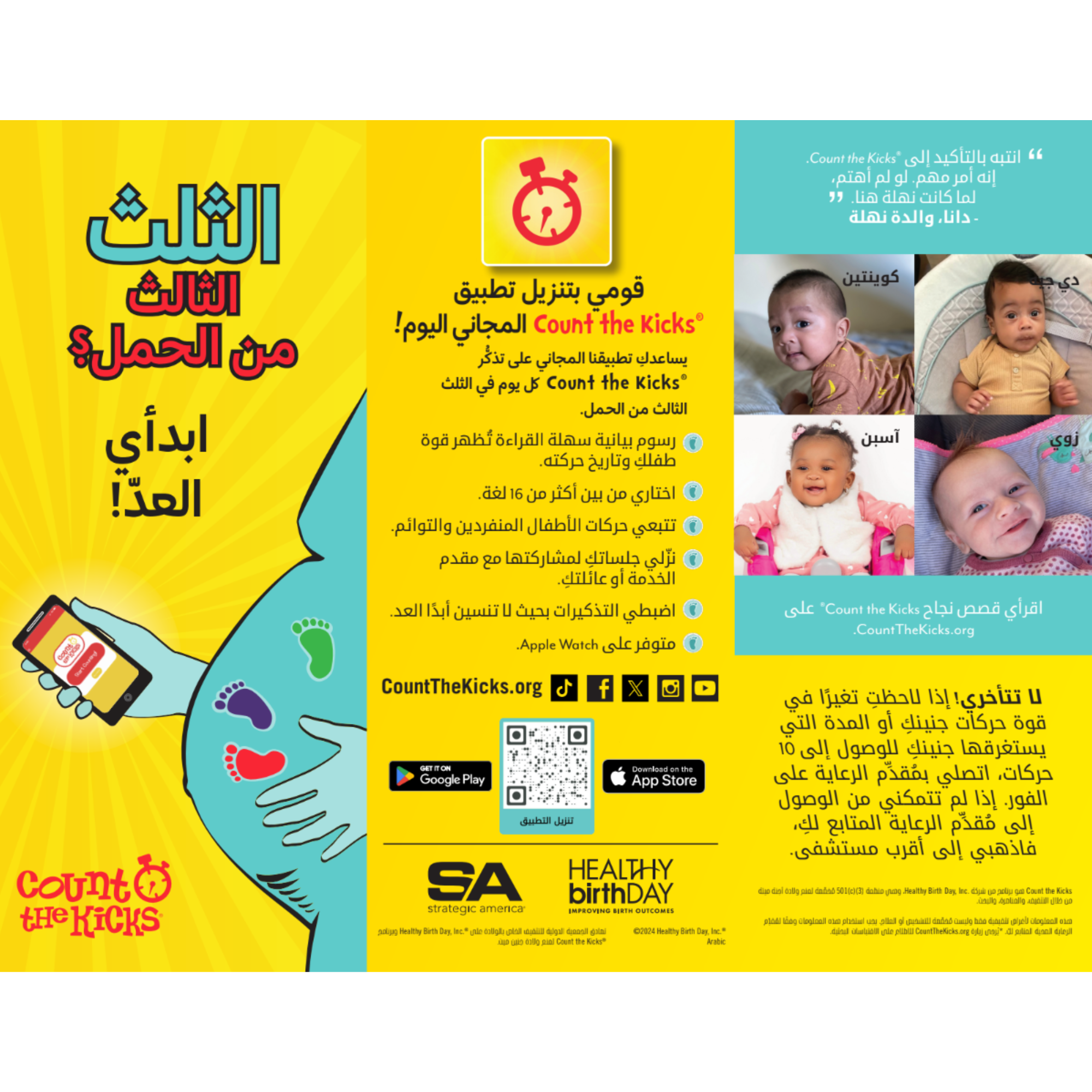 Brochure (Arabic) – IA