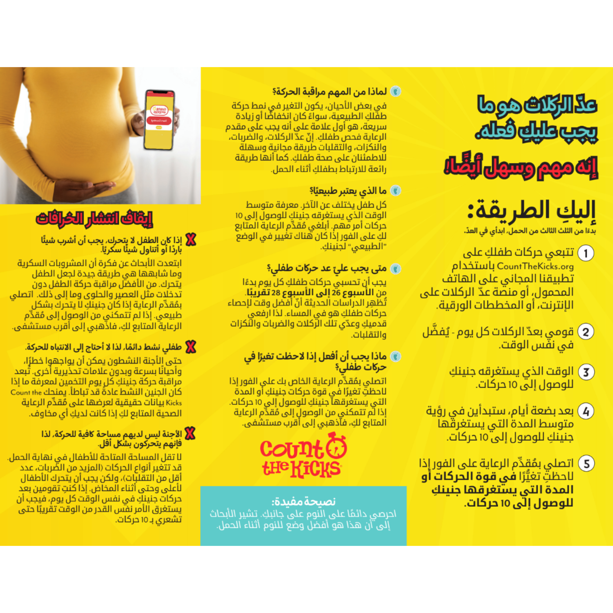 Brochure (Arabic) – IA