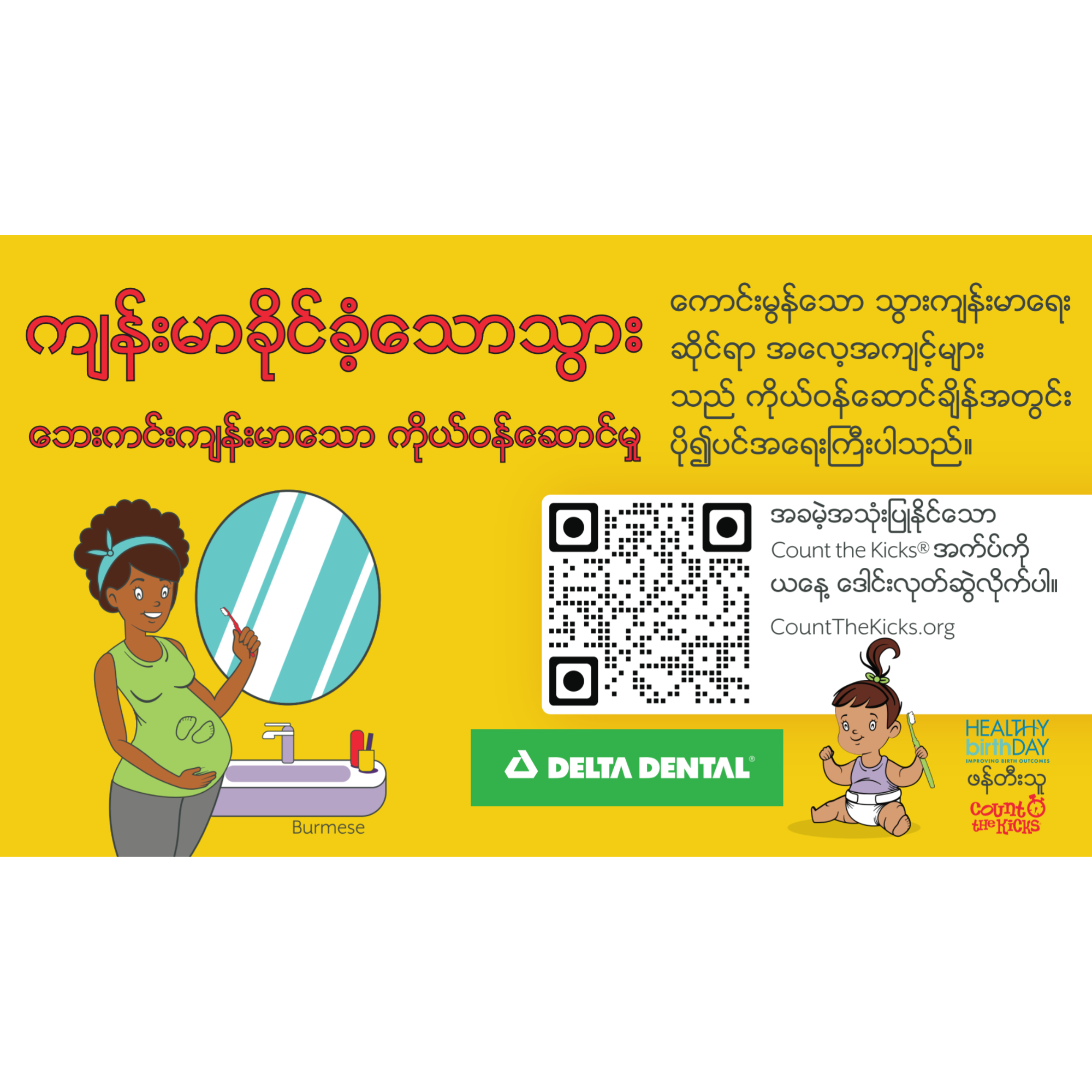 Oral Wellness Magnets (Burmese) – IA