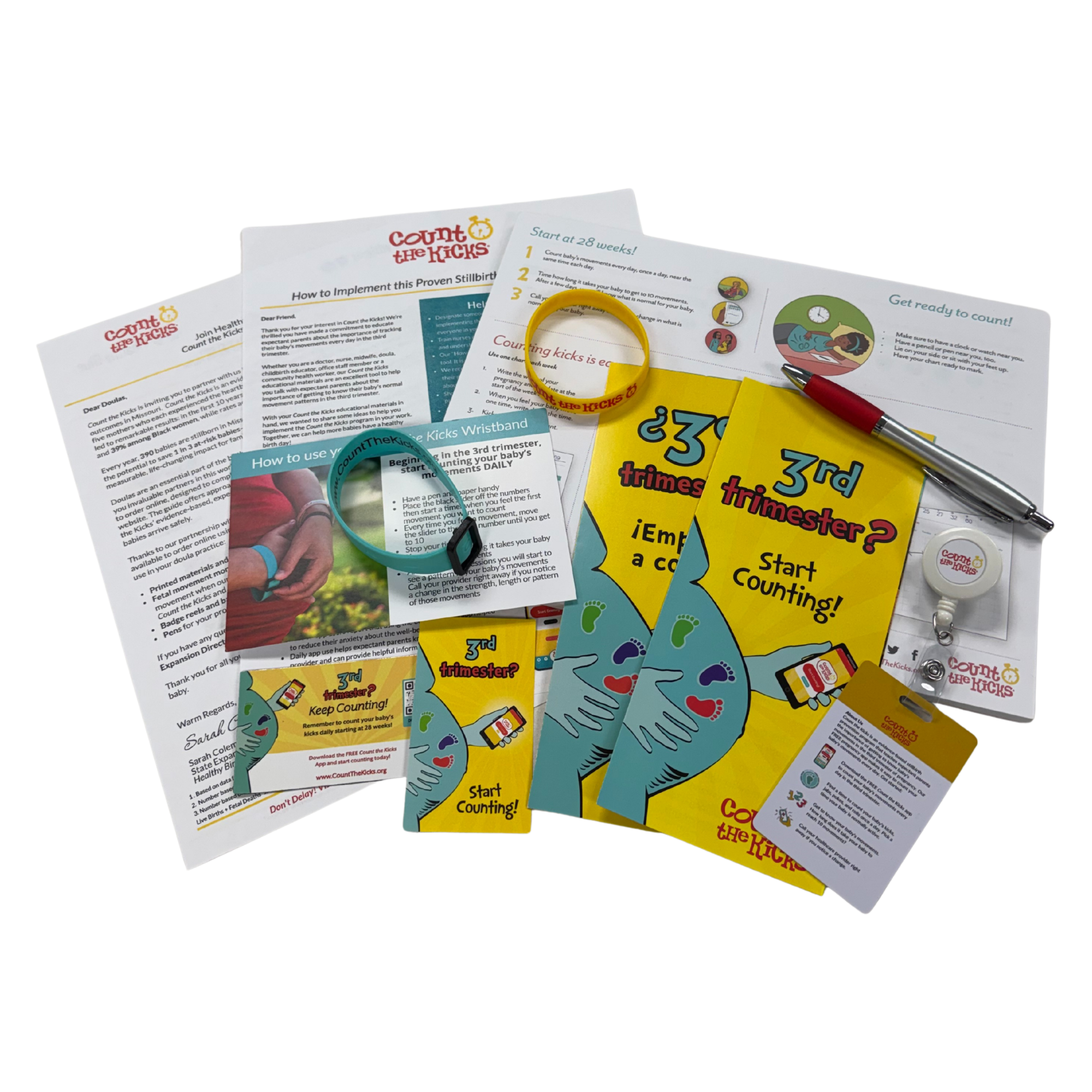 Count the Kicks Doula Toolkit (English) – CO