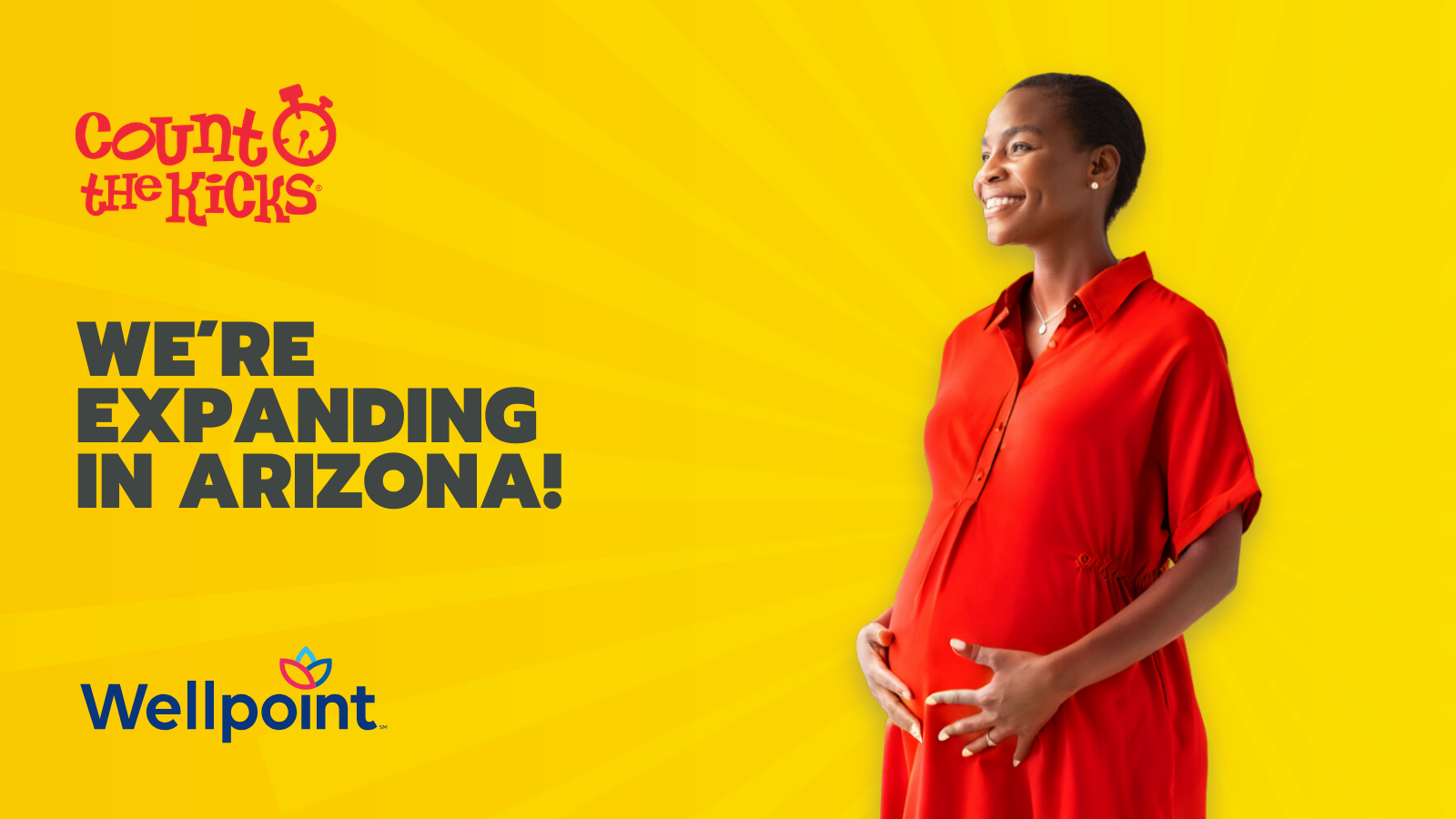 Count the Kicks Announces Partnership with Wellpoint in Arizona