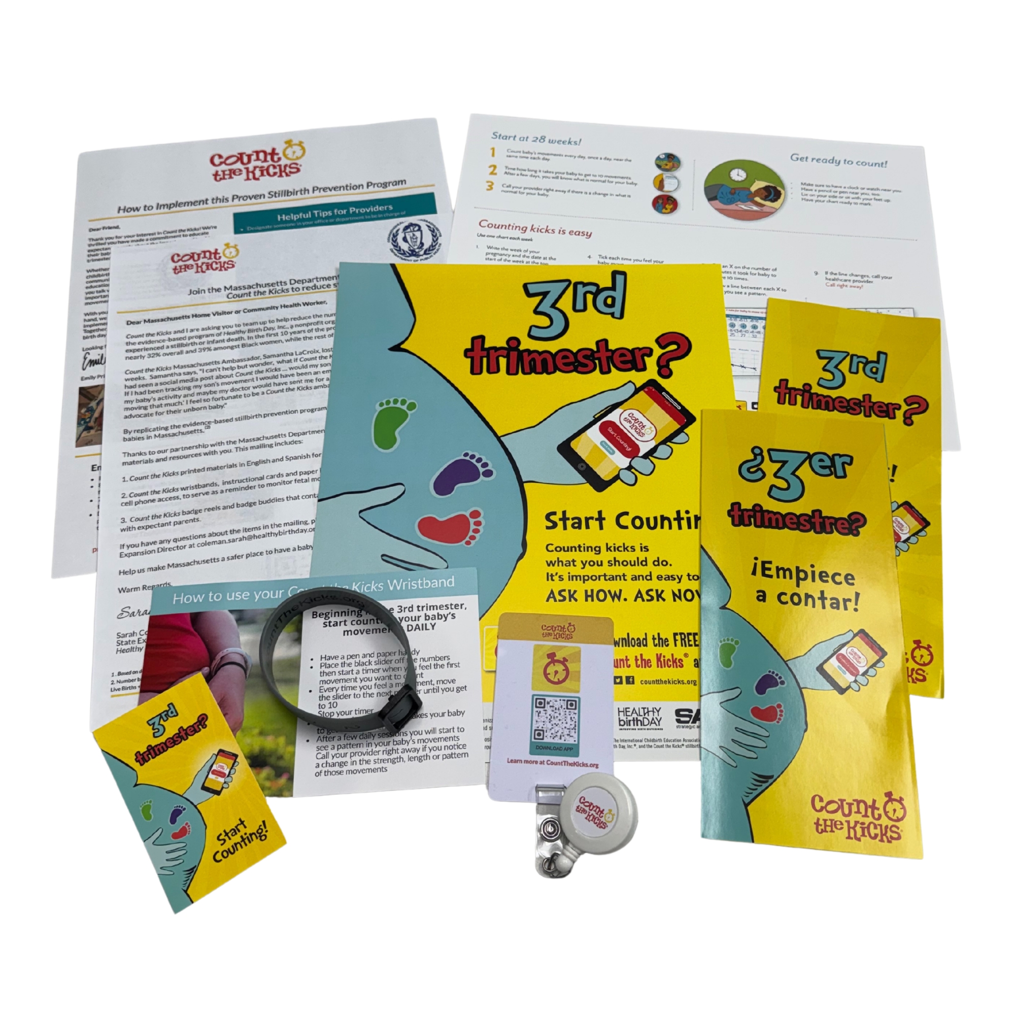 Count the Kicks Rural Toolkit (English) – TN